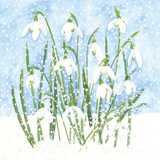 Serviette 25 x 25 cm  3 lagig, 20 Stück pro Packung " Snowdrops In Snow FSC Mix " AMBIENTE