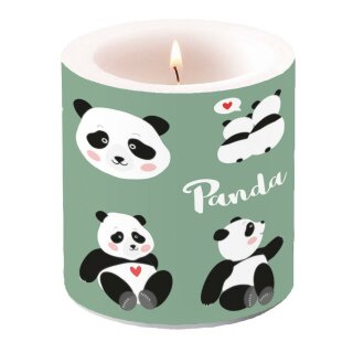 Windlicht Kerze Ø 7,5 cm Höhe 8 cm Small "Panda Bears " AMBIENTE