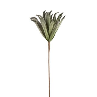 Deko Foam Flower Aloe Vera Zweig   H 80 cm sortiert