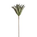 Deko Foam Flower Aloe Vera Zweig   H 80 cm sortiert