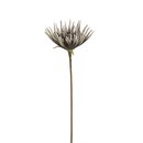 Deko Foam Flower Dahlie   H 80 cm sortiert