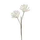 Deko Foam Flower Dahlie  weiss H 80 cm sortiert