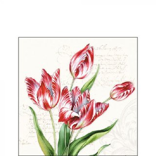 Serviette 25 x 25 cm  3 lagig, 20 Stück pro Packung "Tulips" AMBIENTE