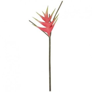 Heliconia "Surin", L85cm, rosa