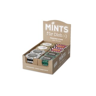 Mints Paket Wild 24x14g. 14g Minzpastillen zuckerfrei mit Süßungsmitteln, Natürliche Aromen, keine Farbstoffe #1