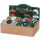 Hartschale Brillenetui Display 4x3 Wild