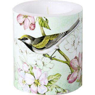 Windlicht Kerze " BIRDS SYMPHONY green " IHR, H 10 cm, D 9 cm