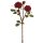 Wildpolyantharose x 3 51cm Blütenkopf Ø ca. 7cm Farbe: rot