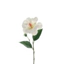 Hibiscuszweig x1Bl, L50cm, weiß