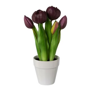 Gefüllte Tulpen im Keramiktopf x 5, 26 cm, purple