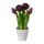 Gefüllte Tulpen im Keramiktopf x 5, 26 cm, purple