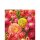 Serviette 25 x 25 cm  3 lagig, 20 Stück pro Packung " Ranunculus  FSC Mix  " AMBIENTE