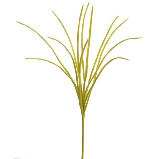 Pastell-Grasbüschelzw. 14-fach 60 cm gelb