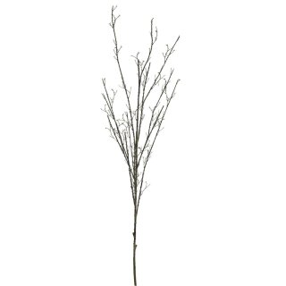 Dornenzweig 4-fach 170cm