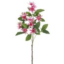 Sternmagnolienast 112cm rose wei&szlig;