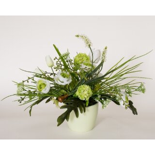 Topf-Ranunkel 26cm weiß-grün