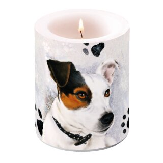 Windlicht Kerze D 10 cm; H 12  cm,  Big  ( Jack russel ) AMBIENTE