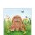 Serviette 25 x 25 cm  3 lagig, 20 Stück pro Packung ( Rabbit family  ) FSC Mix AMBIENTE