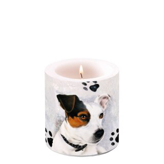 Windlicht Kerze Ø 7,5 cm Höhe 8 cm Small Jack russel  AMBIENTE