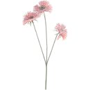 Gerbera "Spiky", 3 Blüten, L40cm, coral...