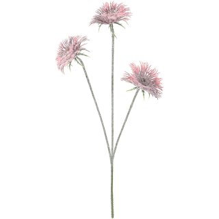 Gerbera "Spiky", 3 Blüten, L40cm, dunkelrot beflockt