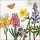 Serviette 33 x 33 cm  3 lagig, 20 Stück pro Packung (  Spring flowers FSC Mix )  FSC Mix "AMBIENTE