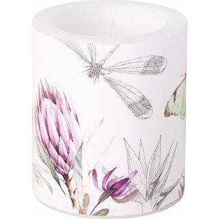 Windlicht Kerze ( LAYANA rose ) IHR, H 10 cm, D 9 cm