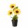 Topfpflanze , Sonnenblume, Indoor, H 33,00 cm, Eisen, Polyethylen, Polypropylen, Plastik, Polyester