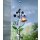 Solar LED-Wetterstation Primavera