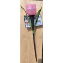 Solar LED-Blume "Vistoso" sortiert