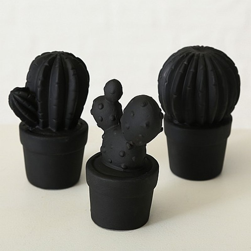 kentia palme dunkler standort Kentia Palme Ø 19 cm – Elegante Zimmerpalme mit 80 cm Höhe main image 0